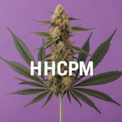 A HHCP erősebb változata: Mi az a HHCPM, és miért érdemes odafigyelni rá?