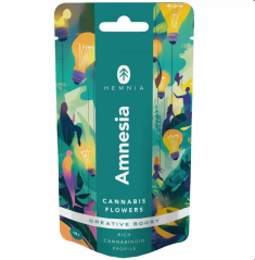 Hemnia CBD Flowers, Amnézia – Creative Boost