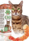 CBD Háziállatoknak