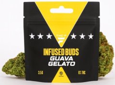 Czech CBD THC-F Infused Buds | Guava Gelato 3,5 g