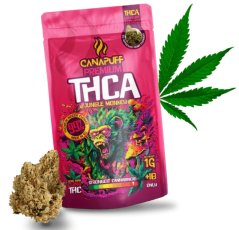 CanaPuff Jungle Monkey 99% THCA