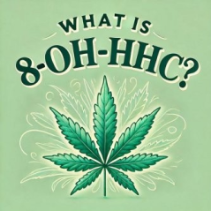 Mi a 8-OH-HHC, milyen hatásai vannak, és miben különbözik a 10-OH-HHC-tól?