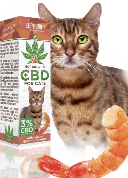 CBD Háziállatoknak