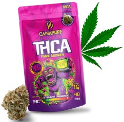 CanaPuff Panic Monkey 99% THCA