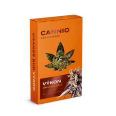 Cannio PERFORMANCE Orange Bud