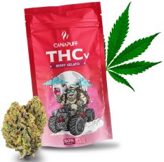 CanaPuff THCV Flower BORY GELATO, THCV 50 %, 1-5 g