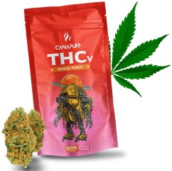 CanaPuff THCV Flower PAPAYA PUNCH, THCV 50 %, 1-5 g