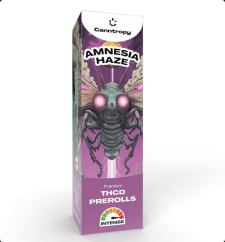 Canntropy THCD Preroll Amnesia Haze, 1 g