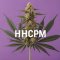 A HHCP erősebb változata: Mi az a HHCPM, és miért érdemes odafigyelni rá?