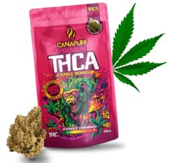 CanaPuff Jungle Monkey 99% THCA