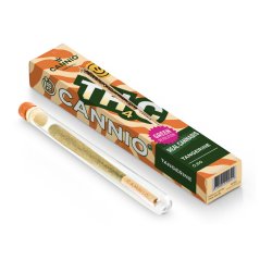 TH4C Pre roll – TANGERINE