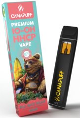 Canapuff Big Bad Bear 95% 10-OH-HHCP - Vape - 1ml